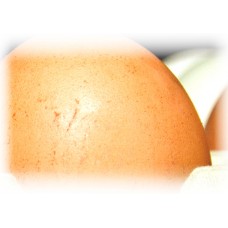 Дезинфекция инкубационных яиц